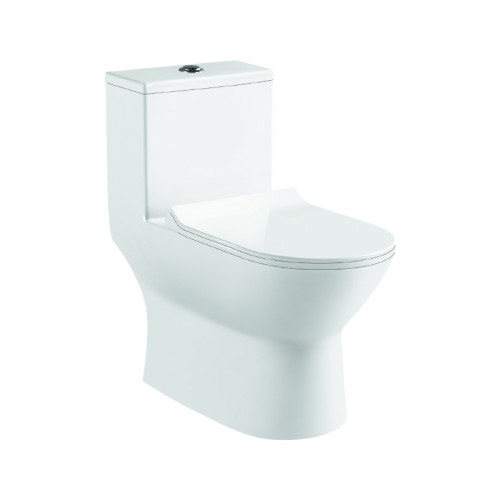 Bồn cầu 1 khối Basic BS-119