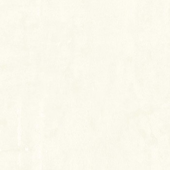 Gạch lát Ceramic Bạch Mã 50x50 CG50010