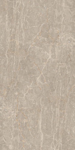 Gạch Đồng Tâm 40x80 FANSIPAN001-FP-H+