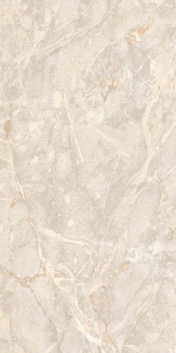 Gạch Đồng Tâm 40x80 FANSIPAN003-FP-H+