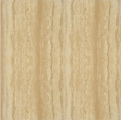 Gạch Taicera 60x60 P67216N