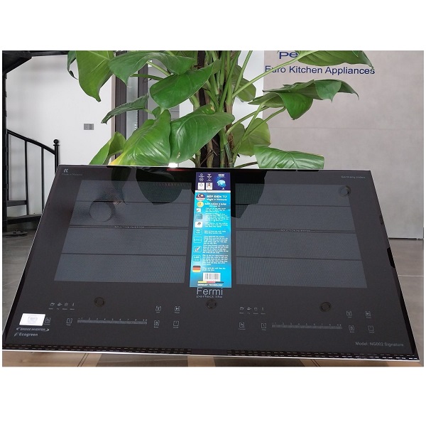 Bếp từ 2 vùng nấu FERMI NG 009 - Image 5