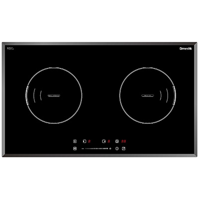 Bếp từ D'mestik ES-555 DKI