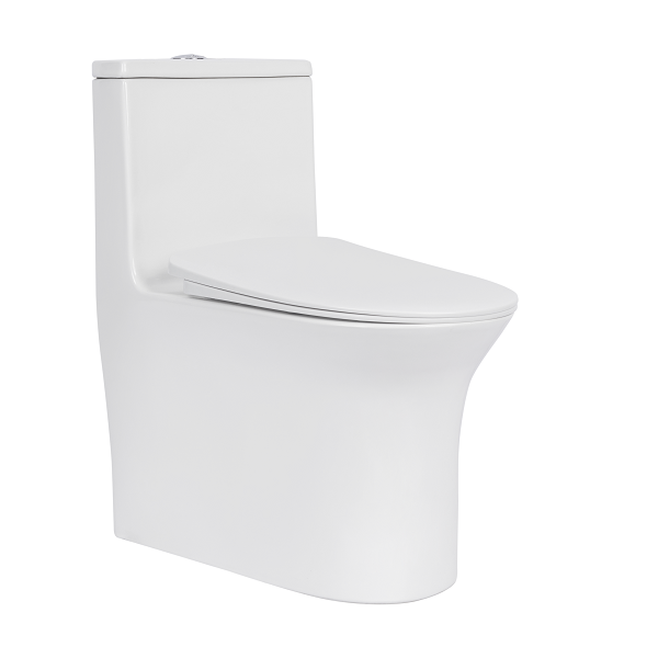 Bồn cầu 1 khối Basic BSA-123 - Image 5
