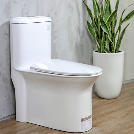 Bồn cầu 1 khối Basic BSA-3120