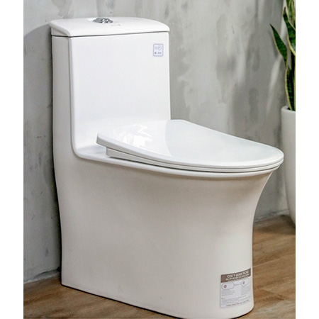 Bồn cầu 1 khối Basic BSA-3121