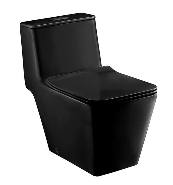 Bồn cầu 1 khối COTTO C11006HOS - Image 6