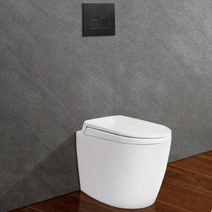 Bồn cầu 1 khối Nano Titan Viglacera HL2 ( Dài 68cm) - Image 3