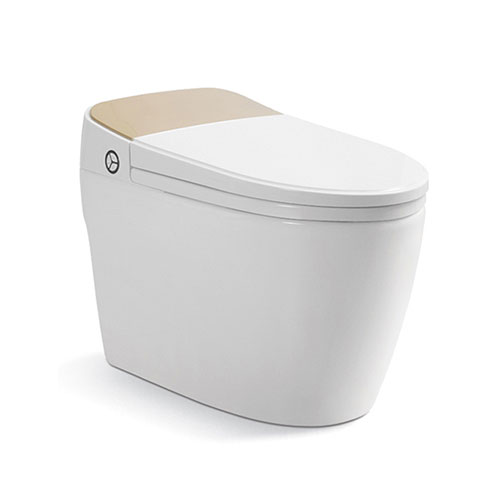 Bồn cầu 1 khối Riba RB-3027 - Image 4