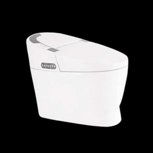 Bồn cầu 2 khối Hảo Cảnh V117 - Image 6