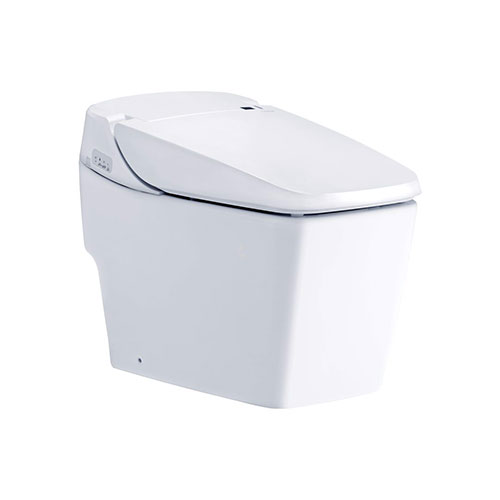 Bồn cầu 2 khối nắp rửa điện tử Cotto C13547(CV10) - Image 5