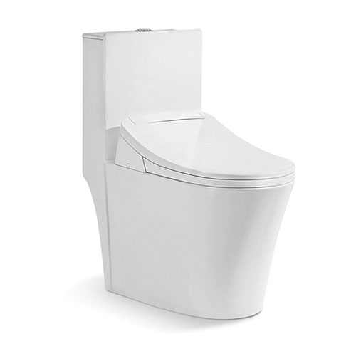 Bồn cầu điện tử Riba RB-9800 - Image 5