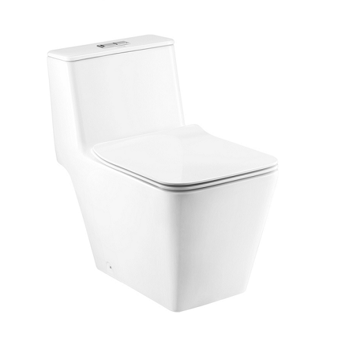 Bồn cầu hai khối COTTO C13507 - Image 3