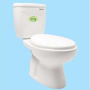 Bồn cầu hai khối Thiên Thanh Queen B4429TS2T - Image 6