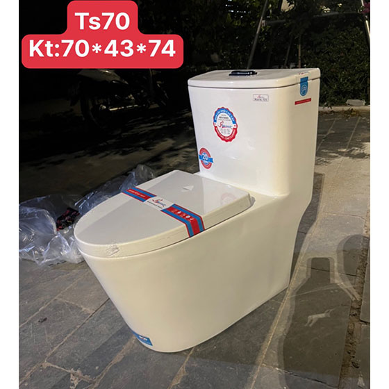 Bồn cầu liền khối Bancoot TS52 - Image 6