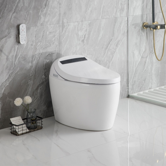 Bồn cầu liền khối Bancoot TS70 - Image 6