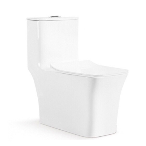 Bồn cầu liền khối Bancoot TS86B - Image 4