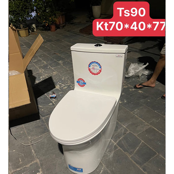Bồn cầu liền khối hoa văn mạ vàng Bancoot TS42G - Image 3
