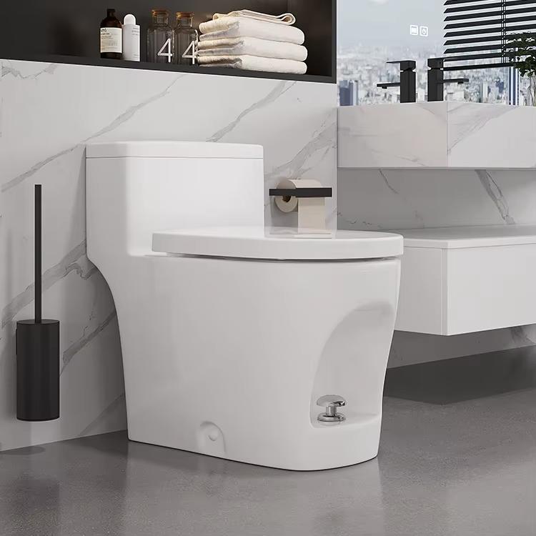 Bồn cầu liền khối xả nước bằng chân Miken DX-625