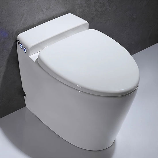 Bồn cầu Moonoah MN-1253 - Image 4