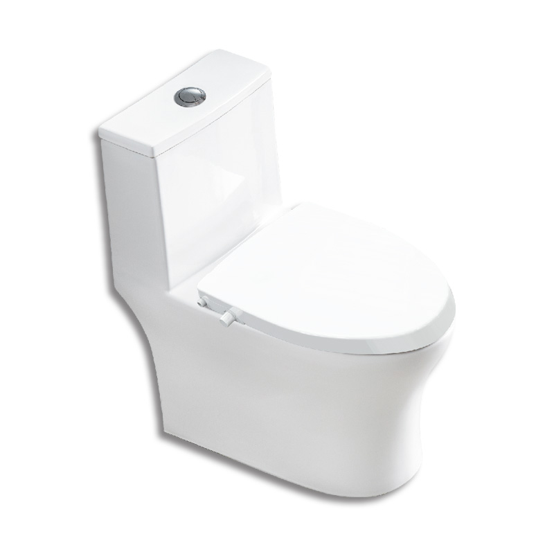 Bồn cầu một khối BASIC SPIRAL-560 - Image 4
