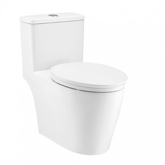 Bồn cầu một khối COTTO C10047 - Image 6