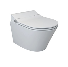 Bồn cầu một khối GENESIS One Piece ELIMEN CA10150-300 - Image 5