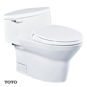 Bồn cầu một khối TOTO nhập khẩu CW904W/F (Thái Lan)