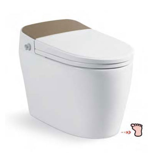 Bồn cầu nắp rửa điện tử Royal Join RA613 - Image 4