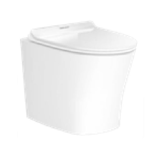 Bồn cầu nắp rửa điện tử treo tường American Standard 1073919990 - Image 6