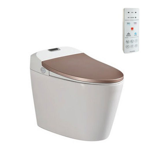 Bồn cầu nắp rửa điện tử Viglacera V93.RW - Image 5