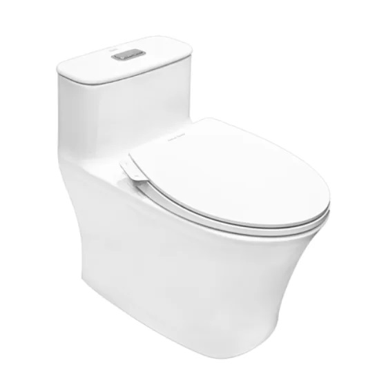 Bồn cầu nắp rửa thông minh American Standard VF-2013S3 - Image 5