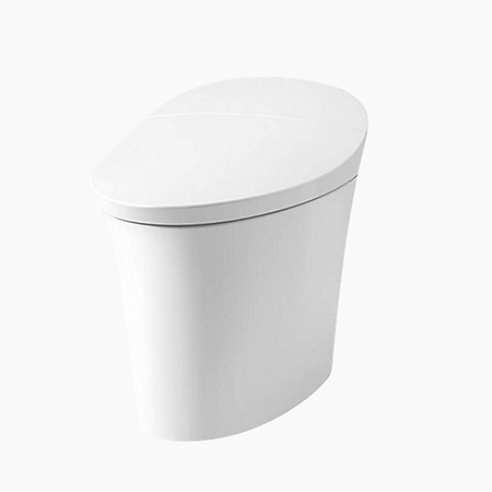 Bồn cầu thông minh Kohler K-5401kr-0 nắp rửa điện tử
