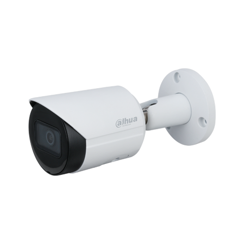 Camera DAHUA DH-IPC-HFW1230DS-SAW (Wifi thân sắt 2MP liền Mic) - 2