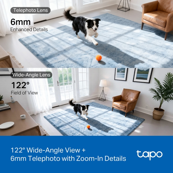 Camera TP-LINK Tapo C245D (Wifi quay quét 2 mắt x 3MP) - 5