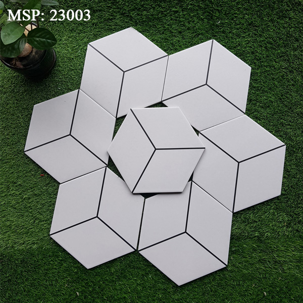 Gạch bông men lục giác 200x230 23003