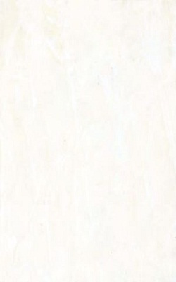 Gạch Đồng Tâm 30x45 ROCA001 - Image 4