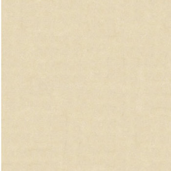 Gạch lát Granite Bạch Mã 60x60 FG6003 - Image 4