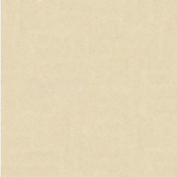 Gạch lát Granite Bạch Mã 60x60 HS60006 - Image 4