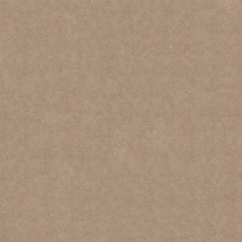 Gạch lát Granite Bạch Mã 60x60 MP60003