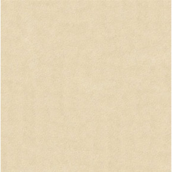 Gạch lát Granite Bạch Mã 60x60 MP60003 - Image 5