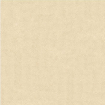 Gạch lát Granite Bạch Mã 60x60 MSV6004 - Image 5