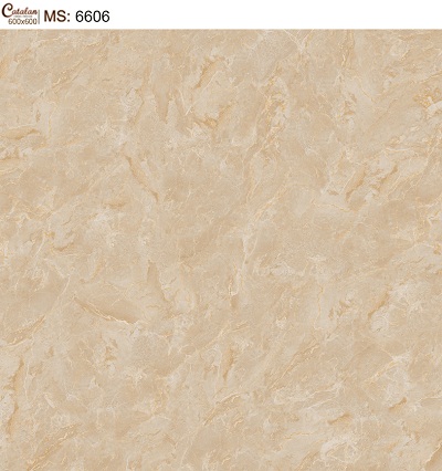 Gạch lát nền 60x60 Catalan 6116 - Image 3