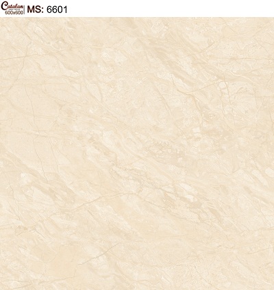 Gạch lát nền 60x60 Catalan 6601