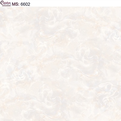 Gạch lát nền 60x60 Catalan 6602
