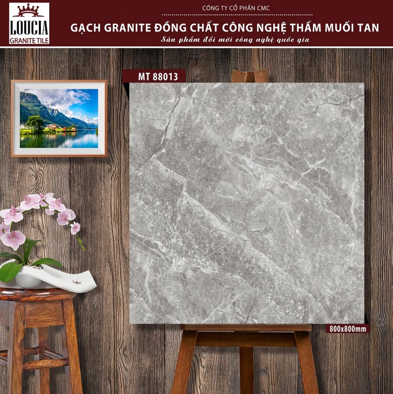 Gạch lát nền Granite 80x80cm công nghệ thấm muối tan CMC MT 88012 - Image 3