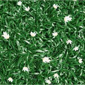 Gạch lát sân vườn 40x40 MC 402 - Image 3