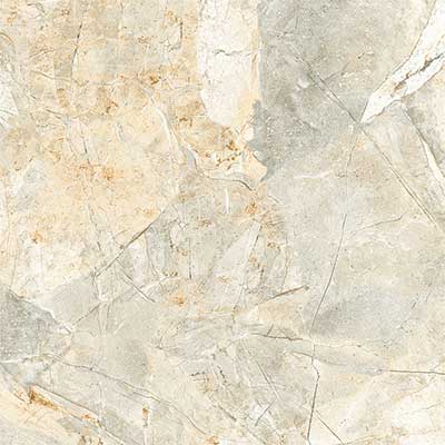 Gạch ốp lát Viglacera 5050 H502