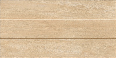 Gạch ốp tường 30x60 Catalan 3654 - Image 5