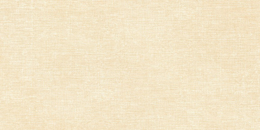 Gạch ốp tường 30x60 Prime 8358 - Image 3